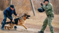 Pomozite stručnjacima